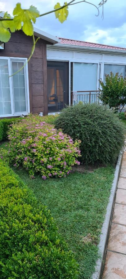 Villa Avdira Paralia Avdhiron 外观 照片